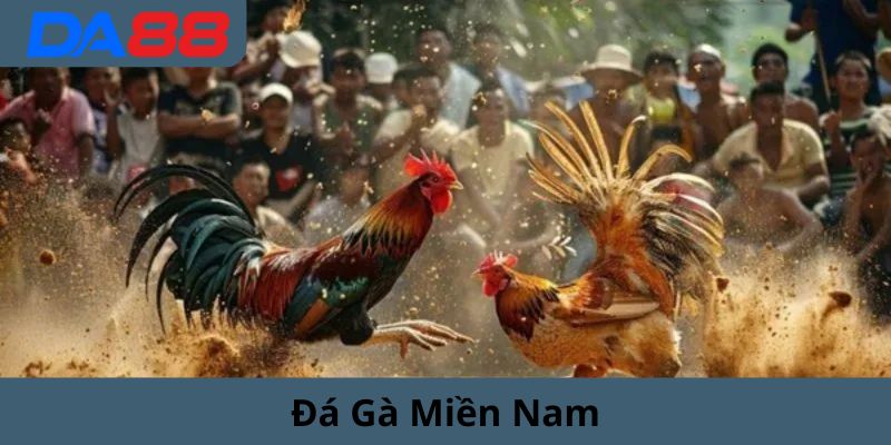 đá gà miền nam da88