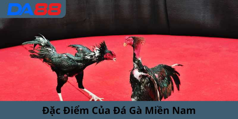 Đặc điểm loại hình này