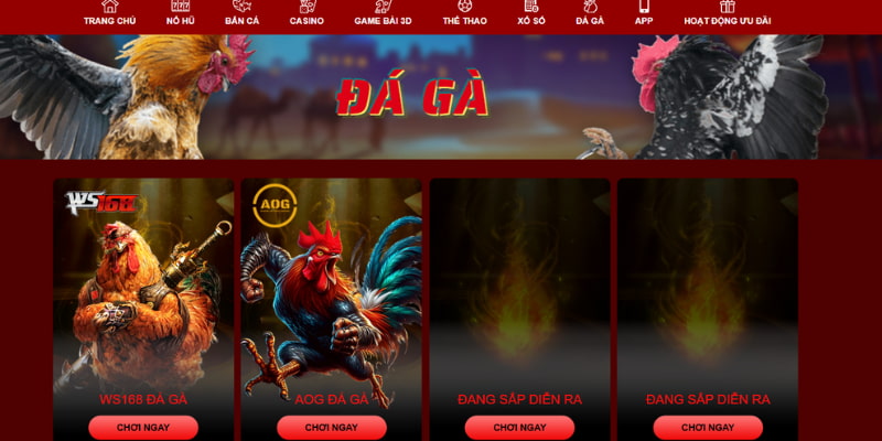 Khái quát về sảnh game