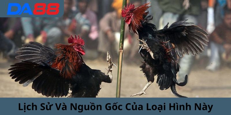 Nguồn gốc lịch sử của loại hình này