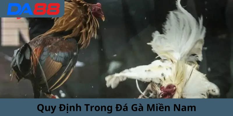 Các quy định khi tham gia