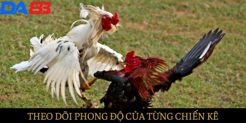 Theo dõi phong độ của từng chiến kê qua các trận đấu